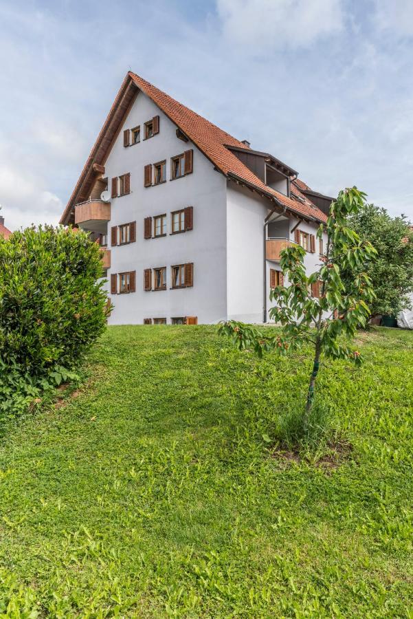Rh-Appartements 15 Minuten Von Basel Im Dorf Ruehrberg Grenzach-Wyhlen Esterno foto